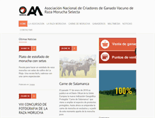 Tablet Screenshot of morucha.com